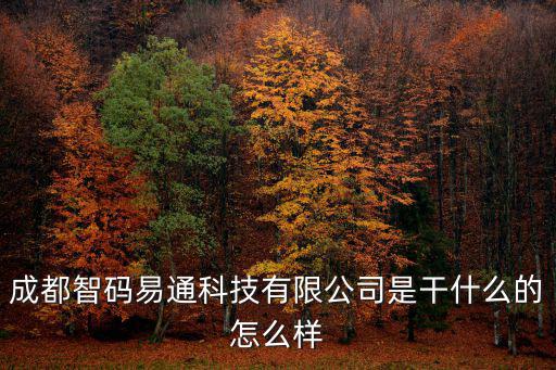 成都智碼易通科技有限公司是干什么的怎么樣