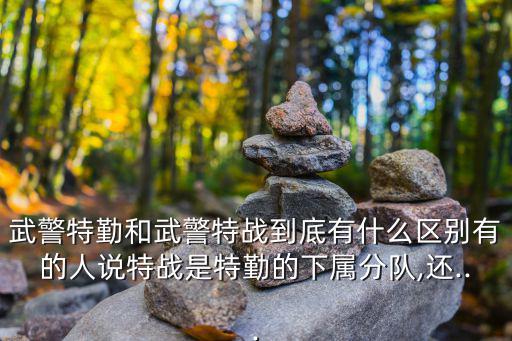 武警特勤和武警特戰到底有什么區別有的人說特戰是特勤的下屬分隊,還...