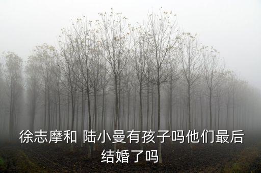 徐志摩與陸小曼,徐志摩和陸小曼的生活還在繼續(xù)