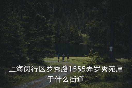 上海閔行區羅秀路1555弄羅秀苑屬于什么街道