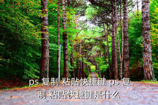  ps 復(fù)制 粘貼快捷鍵 ps 復(fù)制 粘貼快捷鍵是什么