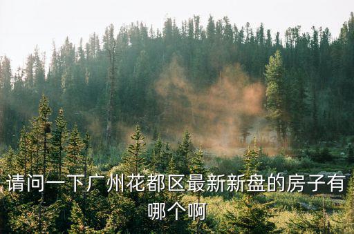 新樓盤廣州花都，廣州花都有哪些新樓盤2010年