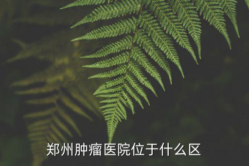 鄭州腫瘤醫(yī)院位于什么區(qū)