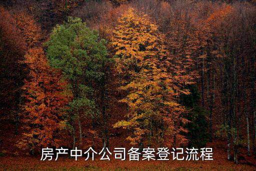 天津市房屋中介機(jī)構(gòu)備案，房產(chǎn)中介公司備案登記流程