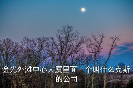 金光外灘中心大廈里面一個(gè)叫什么克斯的公司