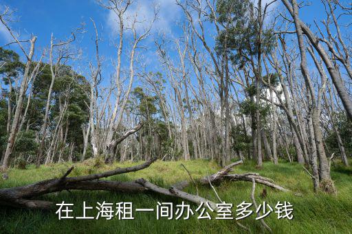 在上海租一間辦公室多少錢(qián)