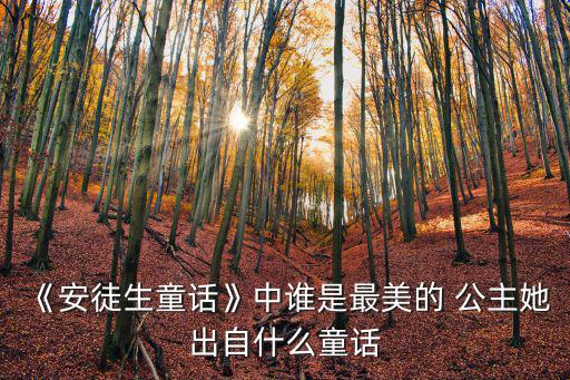 《安徒生童話》中誰是最美的 公主她出自什么童話