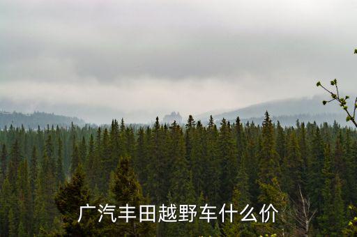 廣汽豐田越野車什么價