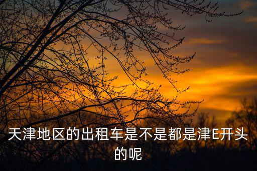 天津地區的出租車是不是都是津E開頭的呢