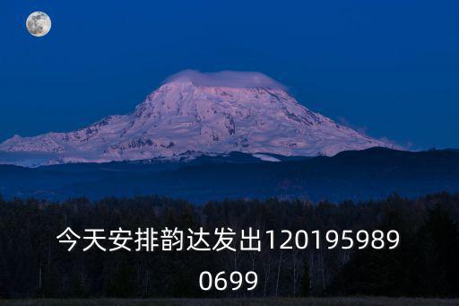 今天安排韻達發出1201959890699