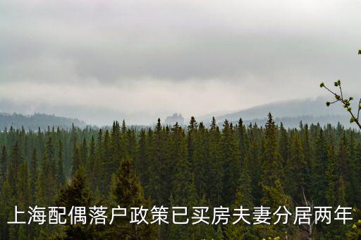 上海配偶落戶政策已買房夫妻分居兩年