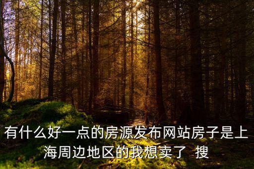 有什么好一點的房源發布網站房子是上海周邊地區的我想賣了  搜