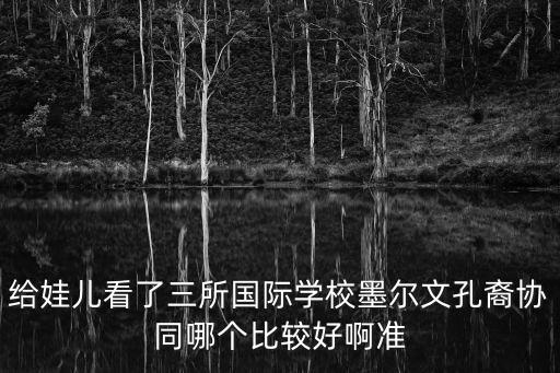 給娃兒看了三所國際學校墨爾文孔裔協同哪個比較好啊準