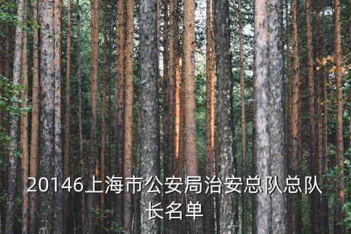 上海市局級干部公示，上海市的副局級干部幾歲退休