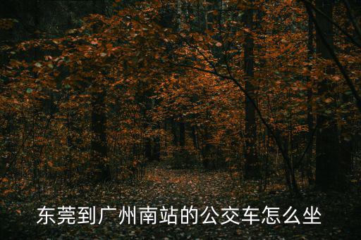 東莞到廣州南站的公交車怎么坐