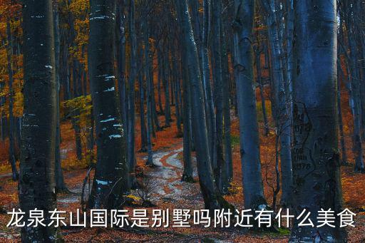 成都市龍泉驛東山片區規劃，龍泉東山國際新城E 區在哪里