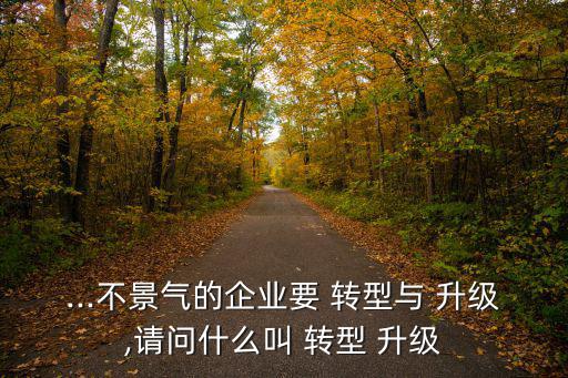 ...不景氣的企業(yè)要 轉(zhuǎn)型與 升級(jí),請(qǐng)問(wèn)什么叫 轉(zhuǎn)型 升級(jí)