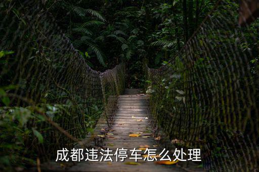 成都違法停車怎么處理