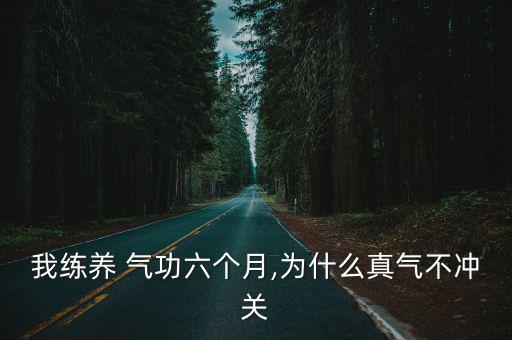 養氣功,真正的黃楊婷氣功從何而來?
