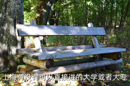 上海有沒有可以直接進(jìn)的大學(xué)或者大專