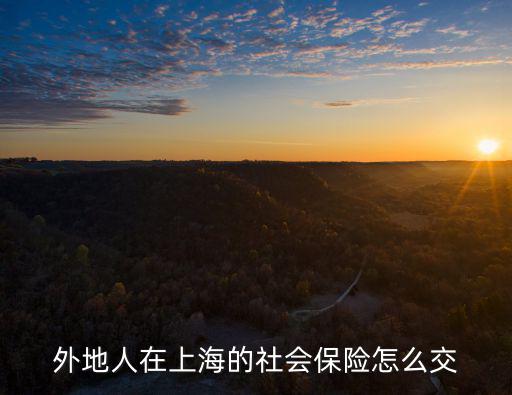 外地人在上海的社會(huì)保險(xiǎn)怎么交