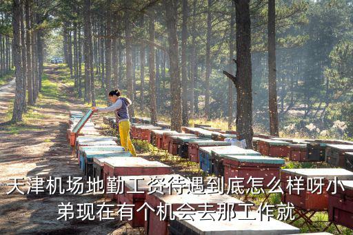 天津機場地勤工資待遇到底怎么樣呀小弟現在有個機會去那工作就