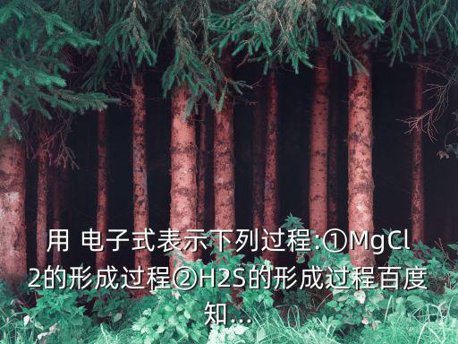 用 電子式表示下列過程:①MgCl2的形成過程②H2S的形成過程百度知...