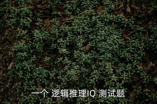 一個 邏輯推理IQ 測試題