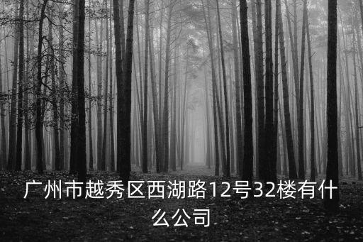 廣州市越秀區西湖路12號32樓有什么公司
