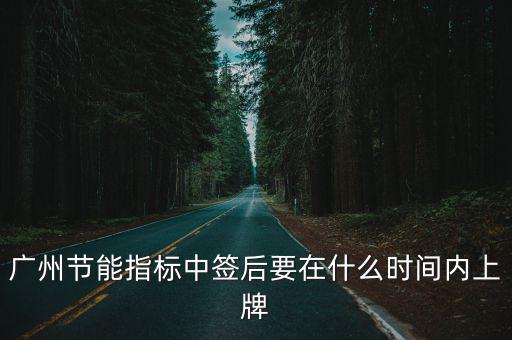 廣州節能指標中簽后要在什么時間內上牌
