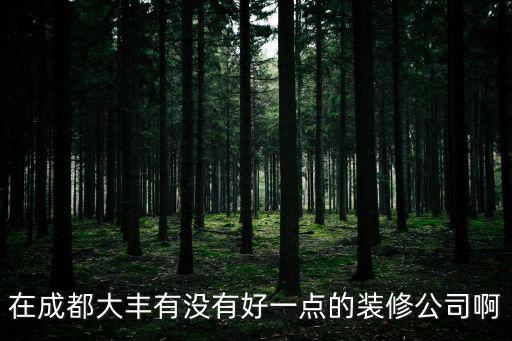 在成都大豐有沒有好一點的裝修公司啊