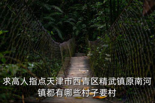 求高人指點天津市西青區精武鎮原南河鎮都有哪些村子要村