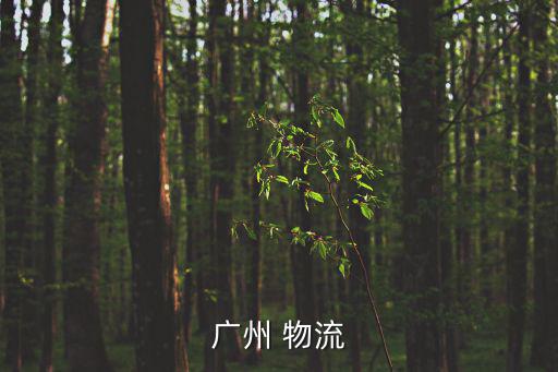 廣州 物流