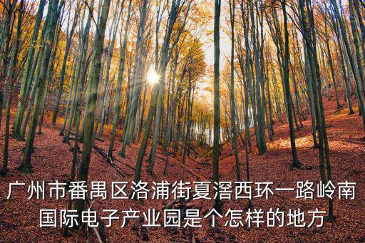 廣州市番禺區(qū)洛浦街夏滘西環(huán)一路嶺南國際電子產(chǎn)業(yè)園是個(gè)怎樣的地方
