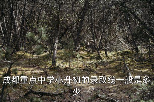 成都重點中學小升初的錄取線一般是多少