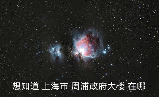 想知道 上海市 周浦政府大樓 在哪