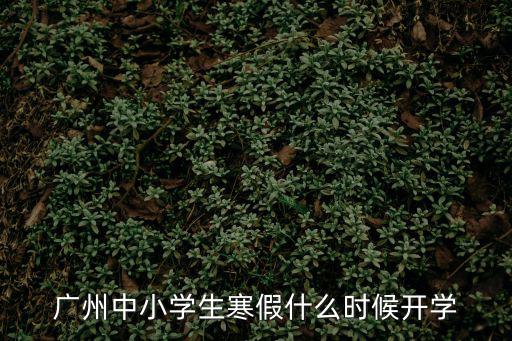 廣州中小學生寒假什么時候開學