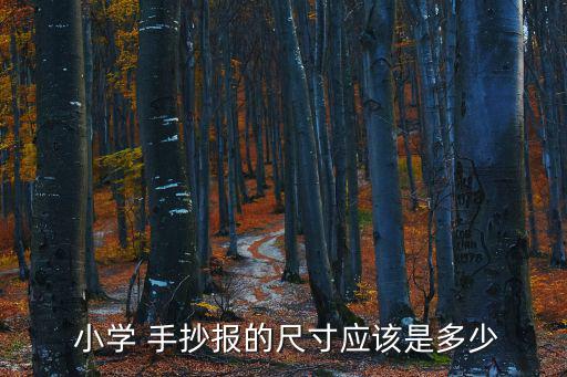  小學 手抄報的尺寸應該是多少
