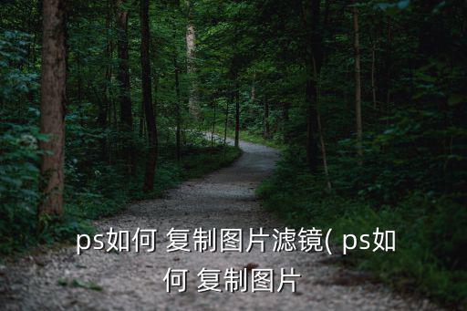 ps如何 復制圖片濾鏡( ps如何 復制圖片