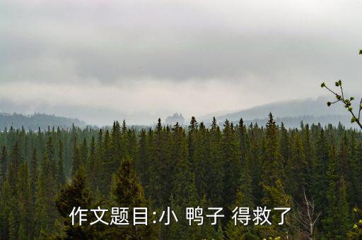 作文題目:小 鴨子 得救了