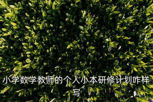 小學數(shù)學教師的個人小本研修計劃咋樣寫