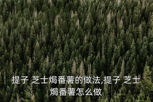 芝士焗紅薯微波爐,紅薯去皮蒸或搗成泥放入微波爐加熱