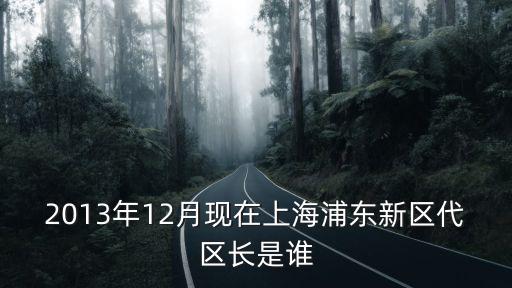 上海各區(qū)領導名單，2013年12月現(xiàn)在上海浦東新區(qū)代區(qū)長是誰
