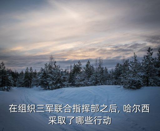 在組織三軍聯合指揮部之后, 哈爾西采取了哪些行動