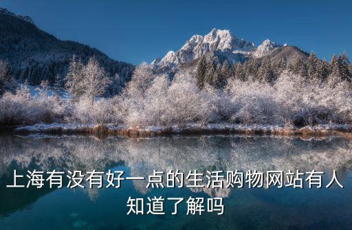 上海有沒有好一點的生活購物網站有人知道了解嗎