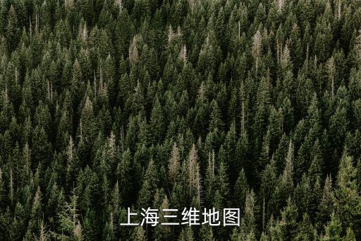 上海三維地圖