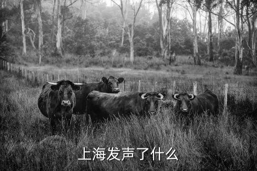 上海工人抗議事件，上海發(fā)聲了什么