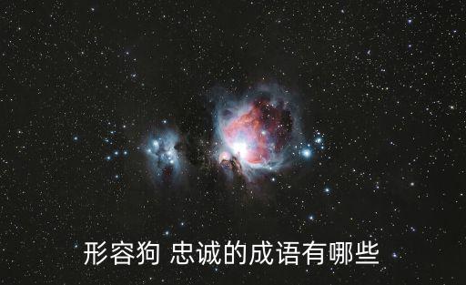 狗的忠誠,狗咬人忠犬只能說是狗對主人忠誠