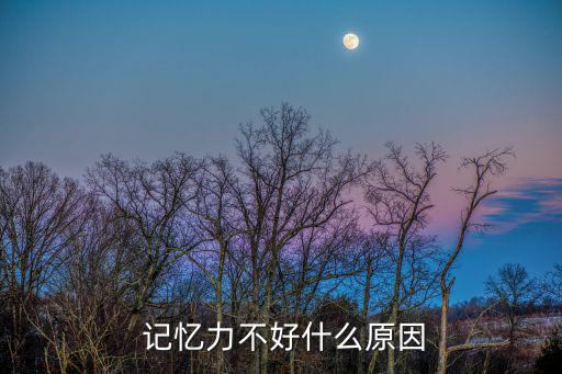  記憶力不好什么原因