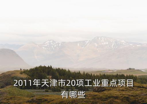 2011年天津市20項工業重點項目有哪些